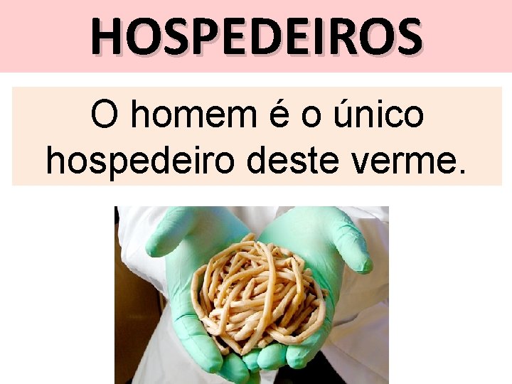 HOSPEDEIROS O homem é o único hospedeiro deste verme. 