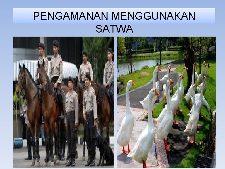 PENGAMANAN MENGGUNAKAN SATWA 