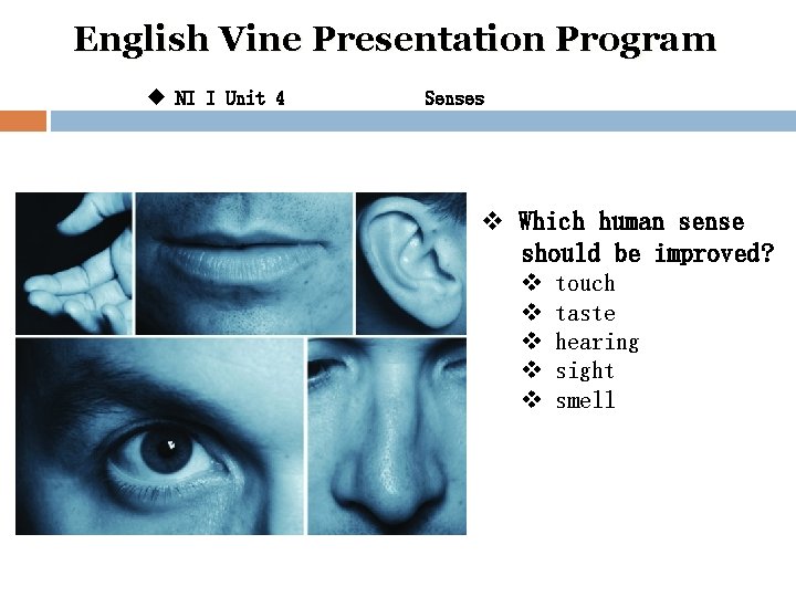 English Vine Presentation Program u NI I Unit 4 Senses v Which human sense