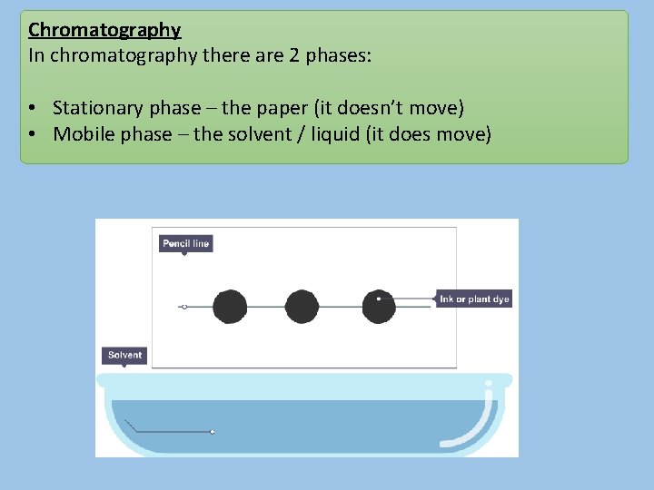 Chromatography In chromatography there are 2 phases: • Stationary phase – the paper (it