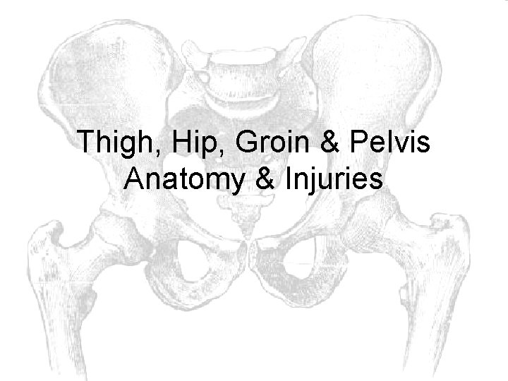 Thigh, Hip, Groin & Pelvis Anatomy & Injuries 