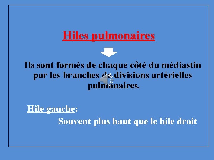  Hiles pulmonaires Ils sont formés de chaque côté du médiastin par les branches