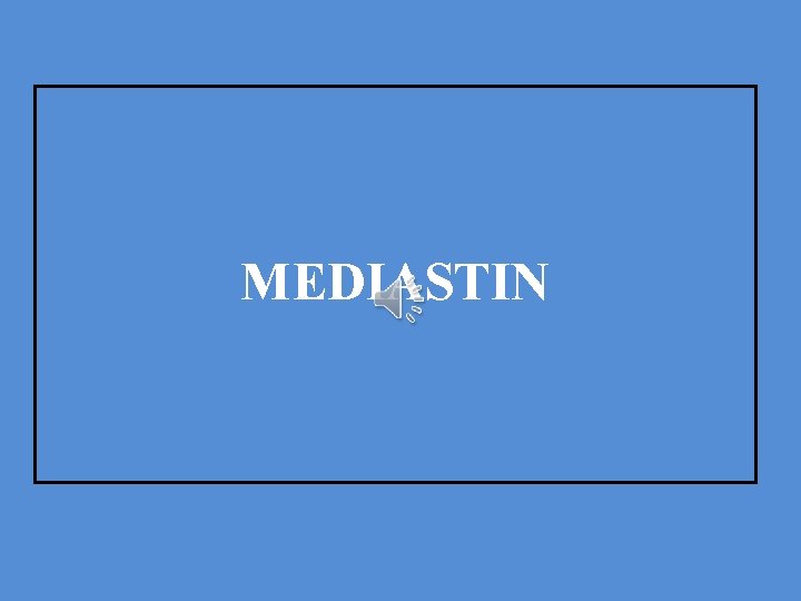 MEDIASTIN 