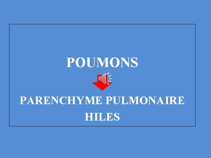 POUMONS PARENCHYME PULMONAIRE HILES 