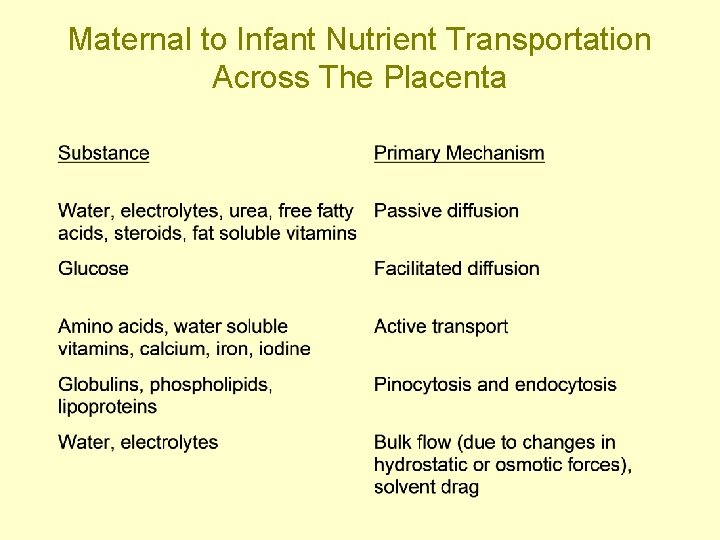 Maternal to Infant Nutrient Transportation Across The Placenta 