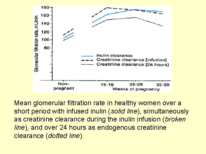 Mean glomerular filtration rate in healthy women over a short period with infused inulin