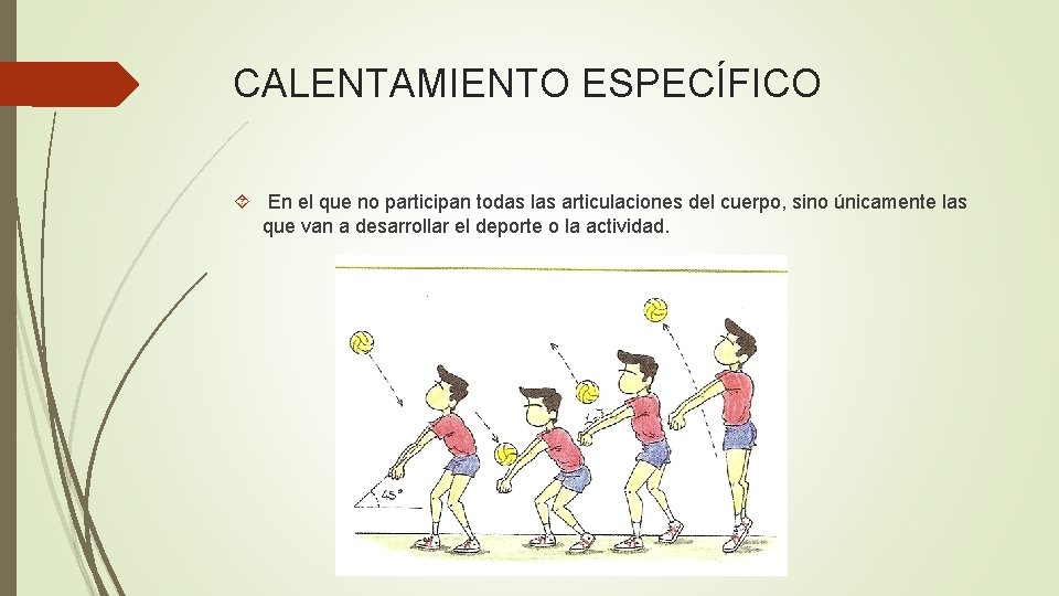 CALENTAMIENTO ESPECÍFICO En el que no participan todas las articulaciones del cuerpo, sino únicamente