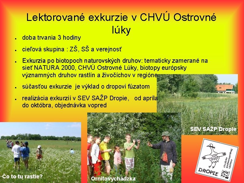 Lektorované exkurzie v CHVÚ Ostrovné lúky ● doba trvania 3 hodiny ● cieľová skupina