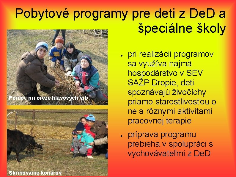 Pobytové programy pre deti z De. D a špeciálne školy ● Pomoc pri oreze