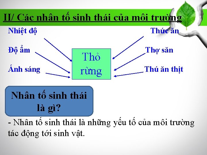 II/ Các nhân tố sinh thái của môi trường Nhiệt độ Độ ẩm Ánh