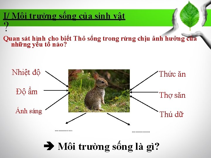 I/ Môi trường sống của sinh vật ? Quan sát hình cho biết Thỏ