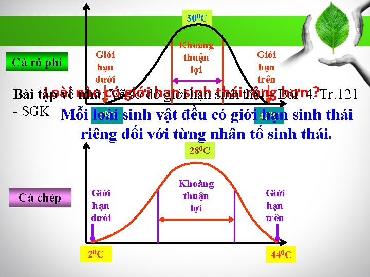 300 C Cá rô phi Giới hạn dưới Khoảng thuận lợi Giới hạn trên