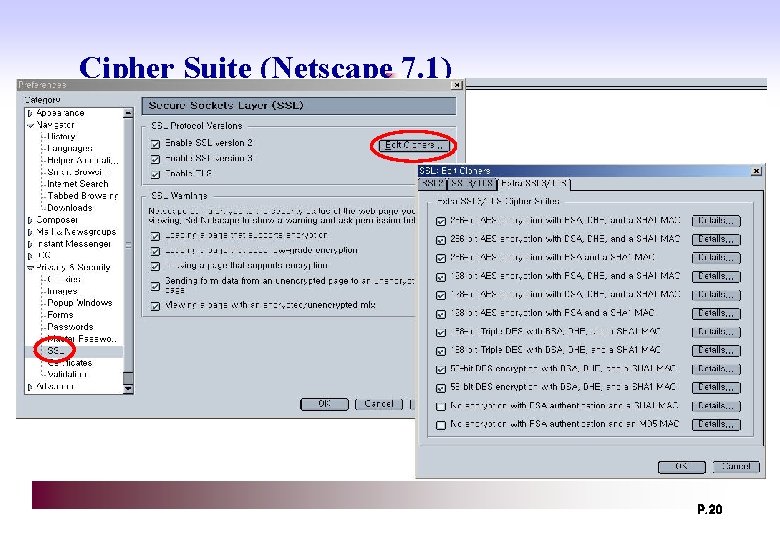 Cipher Suite (Netscape 7. 1) P. 20 