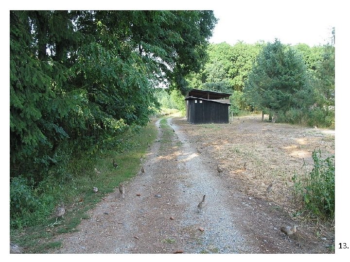 13. 