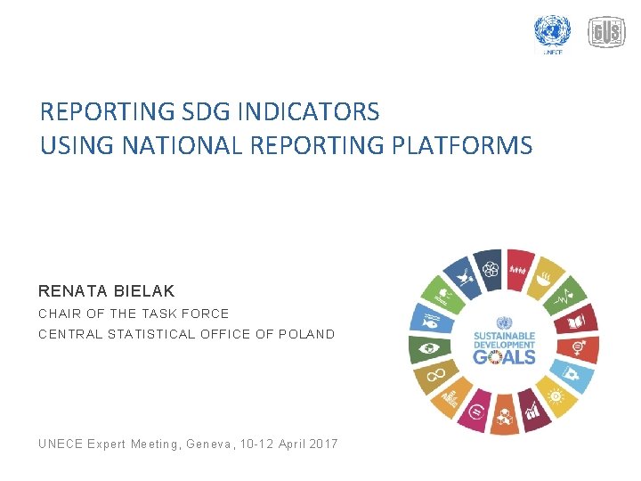 REPORTING SDG INDICATORS USING NATIONAL REPORTING PLATFORMS RENATA BIELAK CHAIR OF THE TASK FORCE