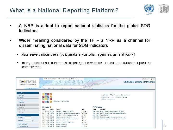 What is a National Reporting Platform? § A NRP is a tool to report