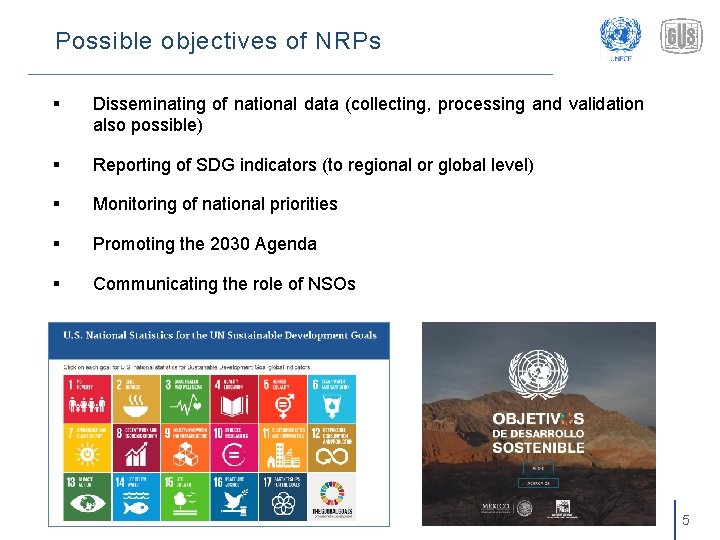 Possible objectives of NRPs § Disseminating of national data (collecting, processing and validation also