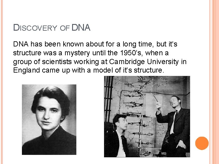 DISCOVERY OF DNA has been known about for a long time, but it’s structure