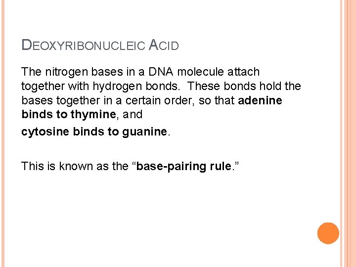 DEOXYRIBONUCLEIC ACID The nitrogen bases in a DNA molecule attach together with hydrogen bonds.