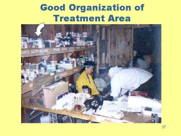 Good Organization of Treatment Area 17 