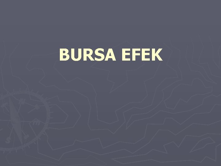 BURSA EFEK 