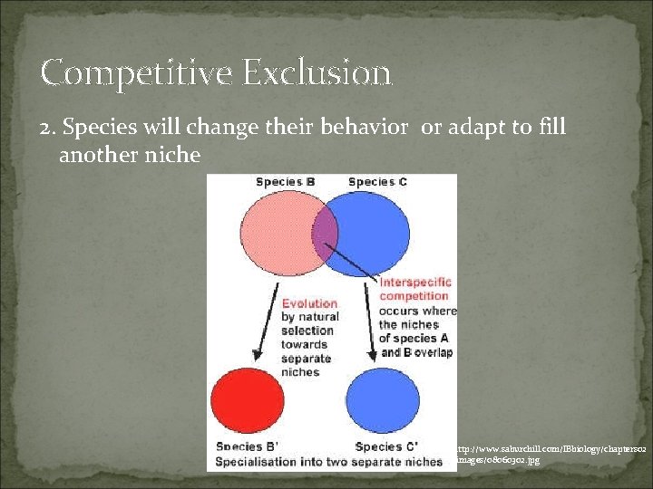 Competitive Exclusion 2. Species will change their behavior or adapt to fill another niche Competitive Exclusion 2. Species will change their behavior or adapt to fill another niche