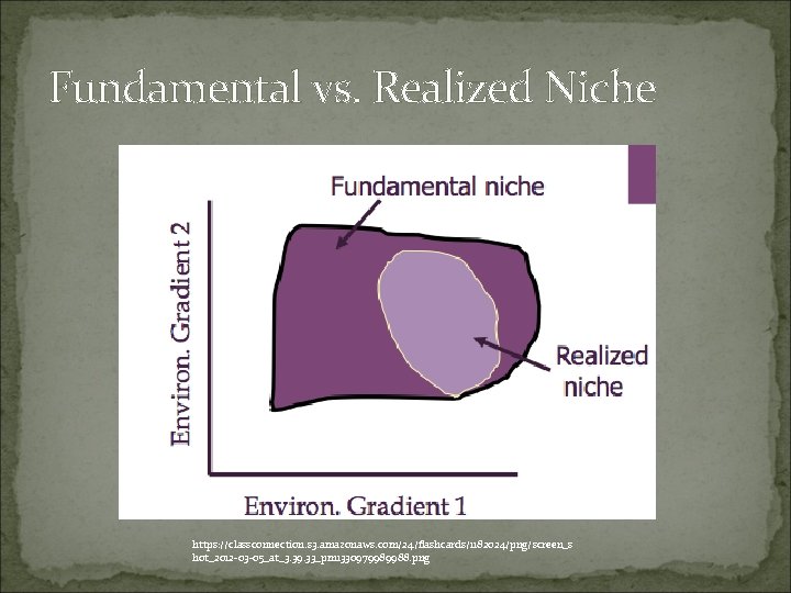 Fundamental vs. Realized Niche https: //classconnection. s 3. amazonaws. com/24/flashcards/1182024/png/screen_s hot_2012 -03 -05_at_3. 39. Fundamental vs. Realized Niche https: //classconnection. s 3. amazonaws. com/24/flashcards/1182024/png/screen_s hot_2012 -03 -05_at_3. 39.
