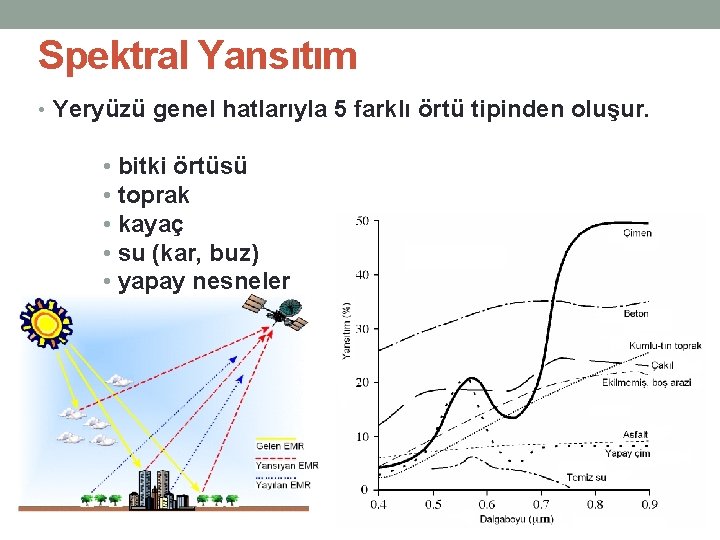 Spektral Yansıtım • Yeryüzü genel hatlarıyla 5 farklı örtü tipinden oluşur. • bitki örtüsü