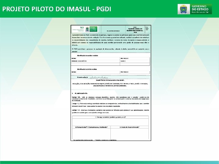 PROJETO PILOTO DO IMASUL - PGDI PROJETO PILOTO DO IMASUL - PGDI