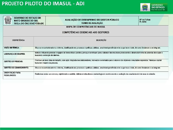 PROJETO PILOTO DO IMASUL - ADI PROJETO PILOTO DO IMASUL - ADI