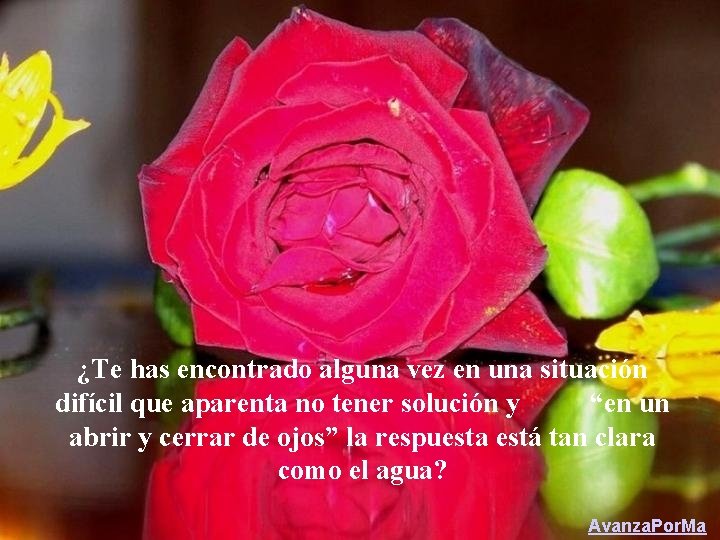 ¿Te has encontrado alguna vez en una situación difícil que aparenta no tener solución