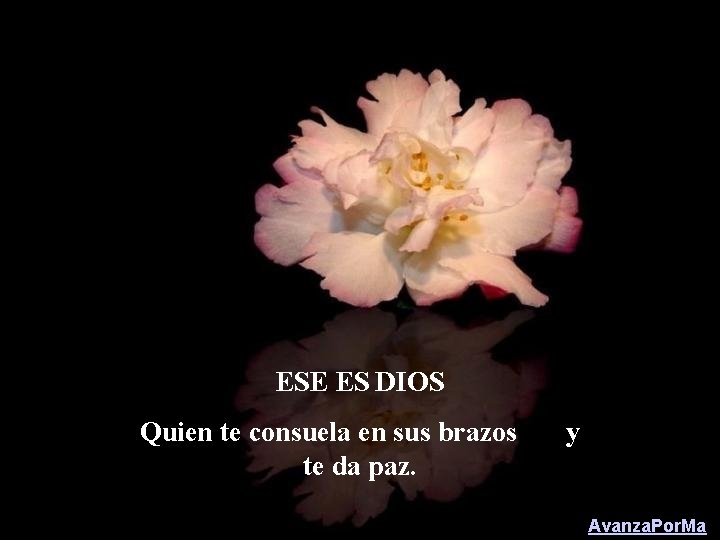 ESE ES DIOS Quien te consuela en sus brazos te da paz. y Avanza.