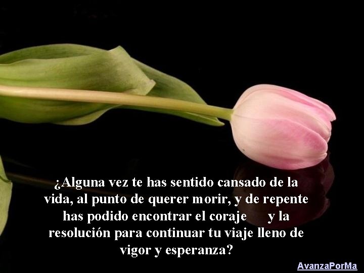 ¿Alguna vez te has sentido cansado de la vida, al punto de querer morir,