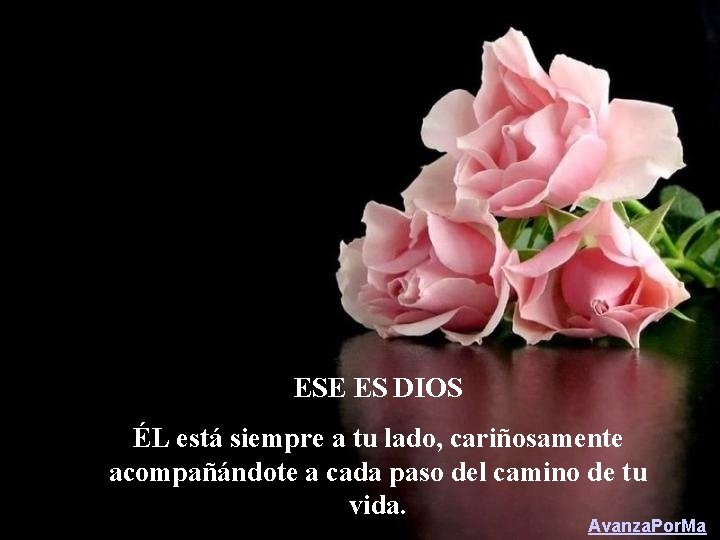 ESE ES DIOS ÉL está siempre a tu lado, cariñosamente acompañándote a cada paso
