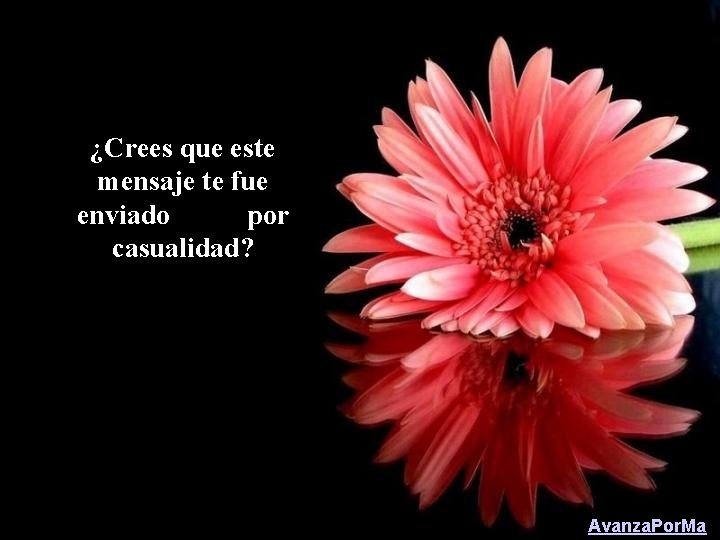 ¿Crees que este mensaje te fue enviado por casualidad? Avanza. Por. Ma 