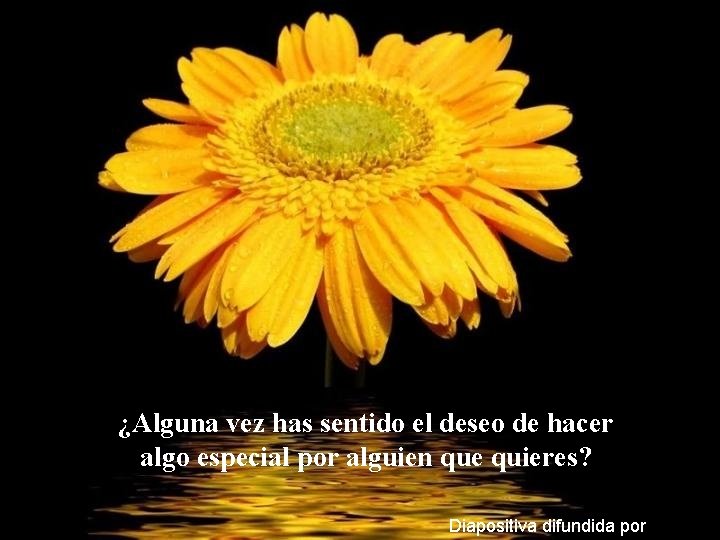 ¿Alguna vez has sentido el deseo de hacer algo especial por alguien que quieres?