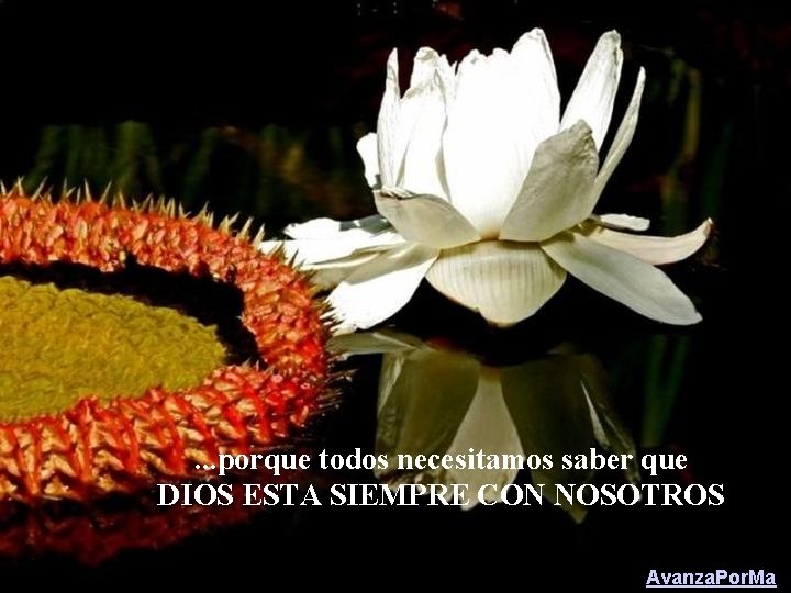 . . . porque todos necesitamos saber que DIOS ESTA SIEMPRE CON NOSOTROS Avanza.