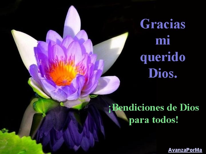 Gracias mi querido Dios. ¡Bendiciones de Dios para todos! Avanza. Por. Ma 