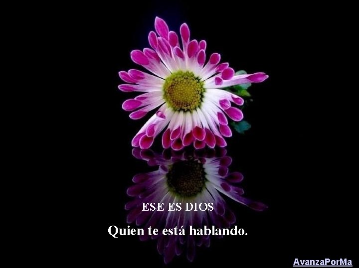 ESE ES DIOS Quien te está hablando. Avanza. Por. Ma 