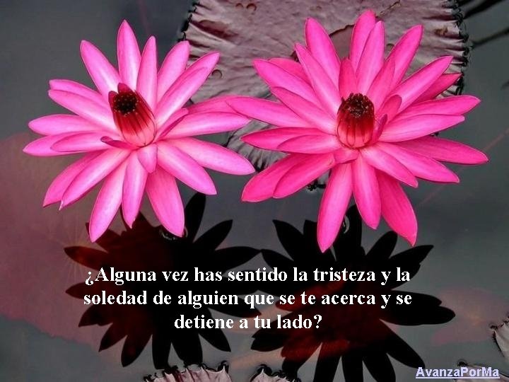¿Alguna vez has sentido la tristeza y la soledad de alguien que se te
