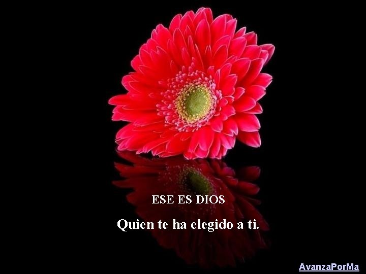 ESE ES DIOS Quien te ha elegido a ti. Avanza. Por. Ma 