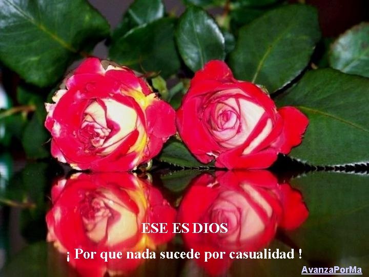 ESE ES DIOS ¡ Por que nada sucede por casualidad ! Avanza. Por. Ma