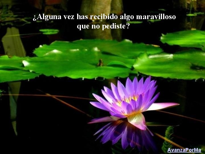 ¿Alguna vez has recibido algo maravilloso que no pediste? Avanza. Por. Ma 