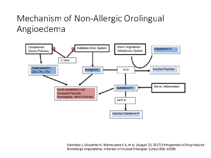 Mechanism of Non-Allergic Orolingual Angioedema Kalambay J, Ghazanfar H, Martes pena K A, et