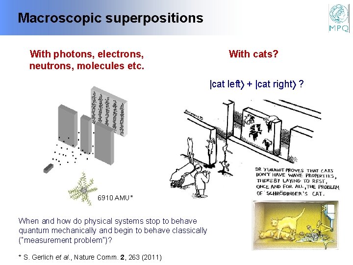 Macroscopic superpositions With photons, electrons, neutrons, molecules etc. With cats? |cat left + |cat