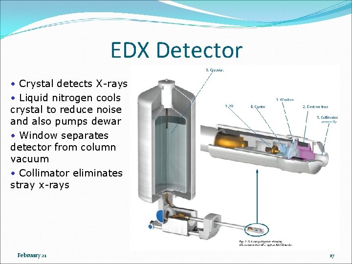 EDX Detector • Crystal detects X-rays • Liquid nitrogen cools crystal to reduce noise EDX Detector • Crystal detects X-rays • Liquid nitrogen cools crystal to reduce noise