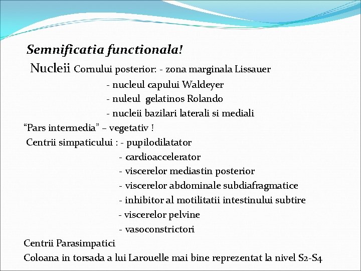 Semnificatia functionala! Nucleii Cornului posterior: - zona marginala Lissauer - nucleul capului Waldeyer -