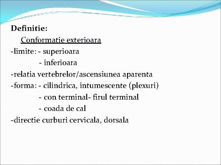 Definitie: Conformatie exterioara -limite: - superioara - inferioara -relatia vertebrelor/ascensiunea aparenta -forma: - cilindrica,