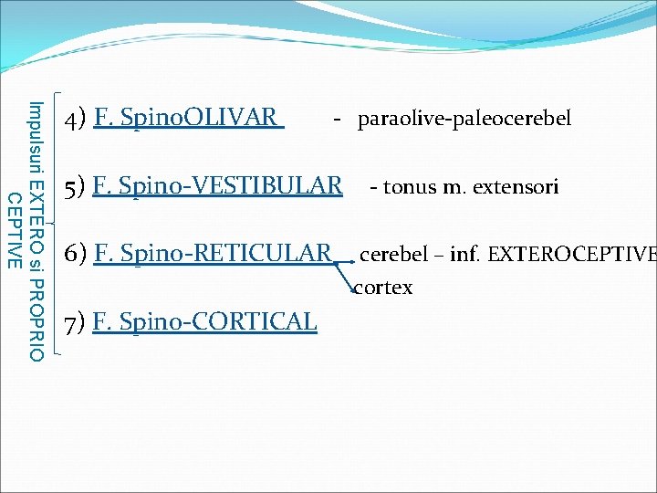 Impulsuri EXTERO si PROPRIO CEPTIVE 4) F. Spino. OLIVAR - paraolive-paleocerebel 5) F. Spino-VESTIBULAR