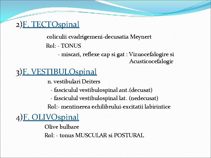  2)F. TECTOspinal coliculii cvadrigemeni-decusatia Meynert Rol: - TONUS - miscari, reflexe cap si